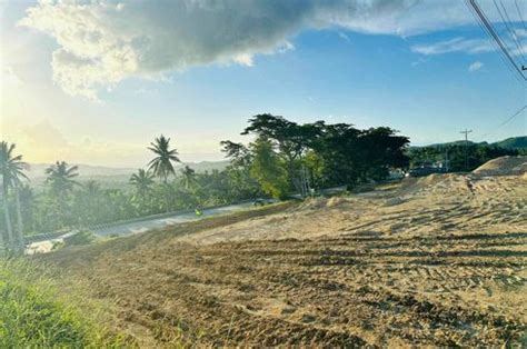 barili cebu land for sale.
